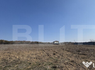 Parcele de teren lângă pădure, 500 mp, utilități, Plaiu