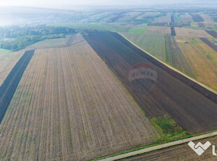 Teren 15,000mp Vorovesti / Strada Militari