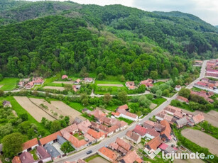 Teren de vanzare, Sinca Noua, deschidere 70ml, 8250 mp, 104.000euro