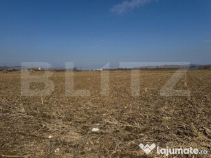 Teren intravilan, 2900 mp, zona Soseaua de centura