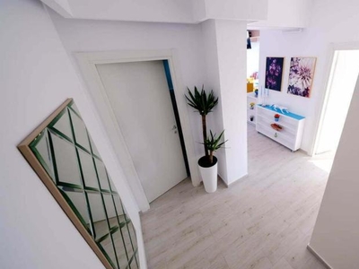 Apartament 3 camere