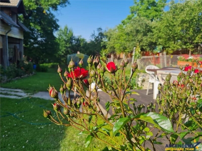 Cu livada si sera, casa primitoare, pe incantare panoramica, Sacele, Turkes