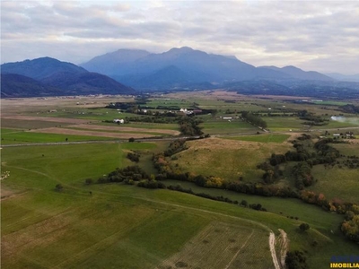 FILM! La hotarul paraului, 600 mp teren, cu PUZ, Rasnov Panicel