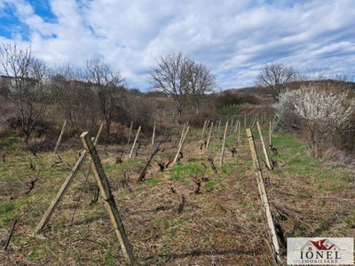 Teren 14.300 mp - vie de vanzare in Aiud