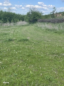 Teren intravilan zona exclusivista Calatele Padure, la 7 km de Belis.