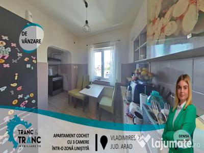 Apartament cochet cu 3 camere, în Vladimirescu(ID: 26704)
