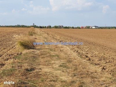 Teren intravilan, de vanzare - Santandrei, Bihor