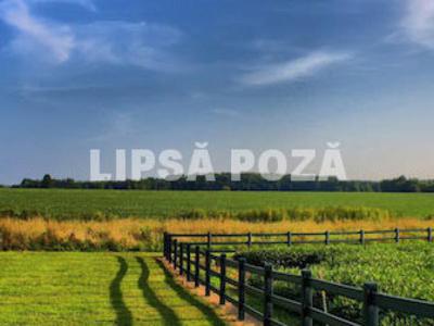 Parcele de teren agricol in Mosnita Noua langa drumul boilor