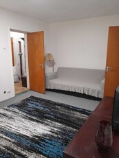 apartament 2 camere camil ressu - park lake