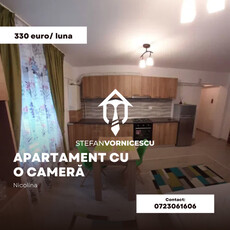 Apartament cu o camera de închiriat - Nicolina, Salciilor