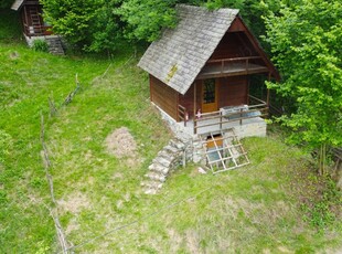 Cabana in Bradulet, Arges