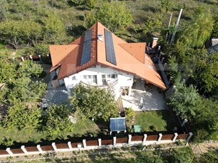 Casa boiereasca, rafinata si luxoasa cu 8 camere, 480mp, Chicerea