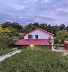 Casa de vanzare in Buzias, zona parc