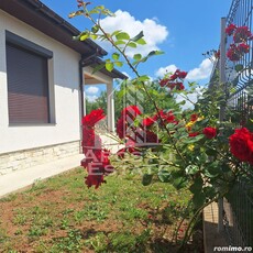 Casa individuala in Ianova ,Comuna Remetea Mare