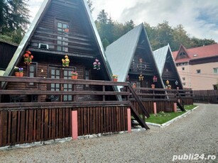 Sinaia cabane A frame vand