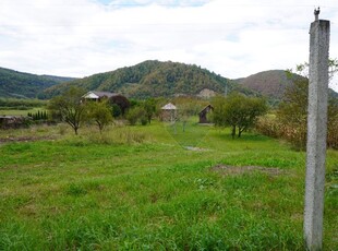 Teren 7968 mp Sighetu Marmatiei / Strada Lazu Baciului