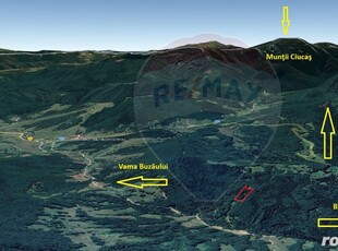 Teren 5500 mp, Valea Sasului, sat Dălghiu, com Vama Buzăului