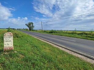 Teren intravilan pentru casa in com.Frumusani (langa lac)