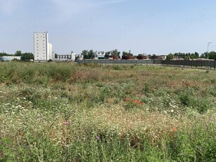 Terenuri industriale zona Sere Viile Noi