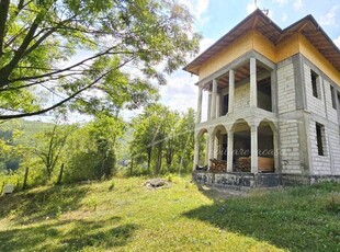 Valea Doftanei. Vila si teren intre padure si paraul Florei