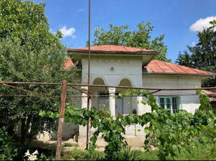 Vând 3389 mp (teren intravilan+ casă), Leu , jud Dolj livada pomi si vie