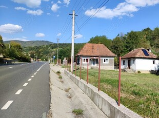 Vând casă in Valisoara