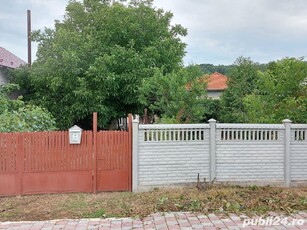 Schimb casa 95mp cu teren 2284mp in Ionesti, Valcea