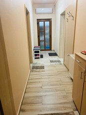 Vand casa individuala Timisoara - 2 apartamente