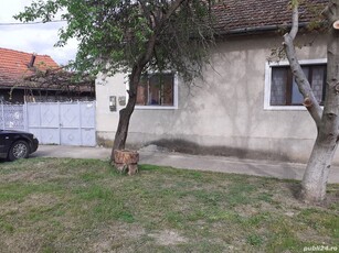 Vând casa rezistenta în Chisoda teren 1800mp