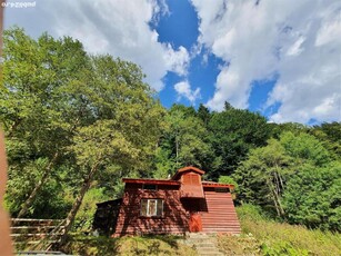 Vând Închiriez Cabana Siriu, Zona de interes turistic