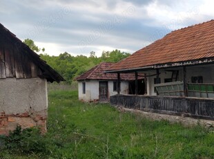 Vând sau schimb casă în Bălănești