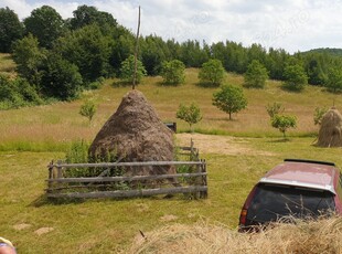 vând teren cu casa și pădure in Sângeorz-Băi