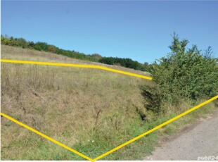 Vand teren intravilan, 1000 mp, in Curteni, Jud Mures, orientare si geometrie a terenului-excelente