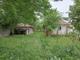 Vand vatra de casa suprafata de 1761 mp, in Satul Silea com. Orlesti, Valcea PRET 15000 negociabil