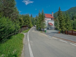 Vila Berlin – Oază de Relaxare în Inima Poienii Brașov