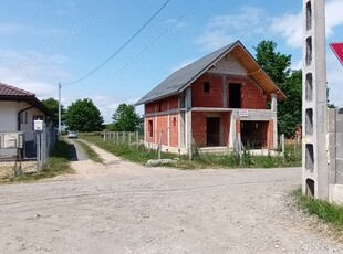 Zona Castel Transilvania , vand casa la rosu P+M , 99,500