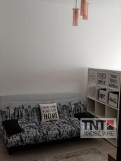 Inchiriere Apartament Nicolina 1 Camere