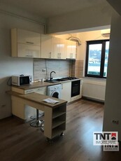 Inchiriere Apartament Pacurari 2 Camere