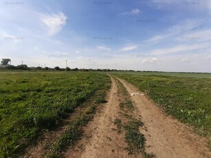 Teren Teren aproape de Bucuresti langa padure Teren de 3820mp