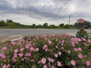 Teren Terenul perfect dezvoltare rezidentiala