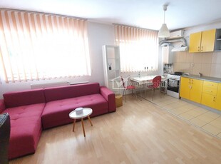 Apartament cu doua camere, mobilat, strada Somesului