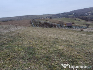 Teren 2000 mp in Cluj, comuna Feleac, sat Sărădis