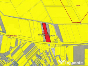 Teren Bolintin Deal - A1 - KM23, Giurgiu