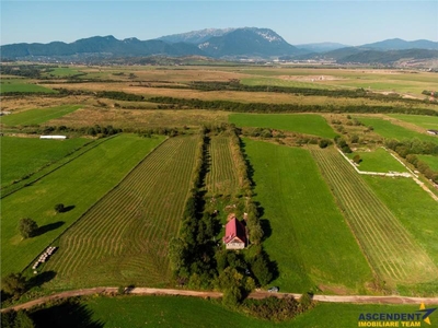 FILM! Teren plan pe 10,000 mp, cu apa curgatoare, langa Pensiunea Panicel Rasnov, Brasov