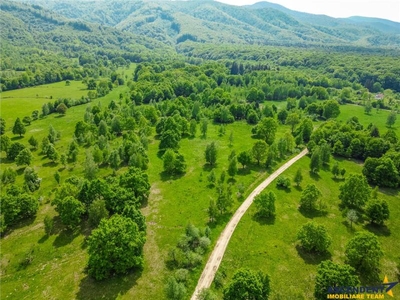 Film!14.000mp teren, in cadru natural impresionat, cu destinatie agroturistica, Sinca Noua, Brasov