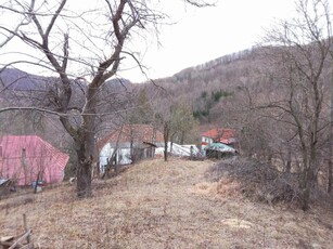 Vanzare Casa/Vila 3 camere Buzau