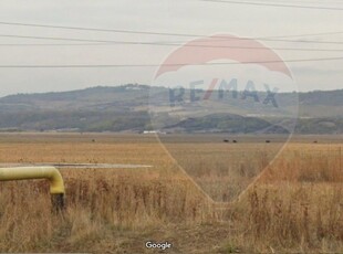 Teren Agricol, Extravilan vanzare, in Prahova, Pleasa