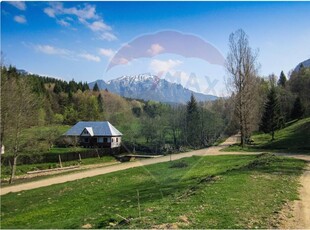 Teren Pădure, Extravilan vanzare, in Brasov, Dalghiu