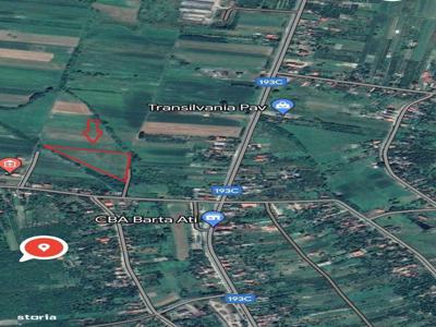 Teren Intravilan 13.600 mp in Viile Satu Mare