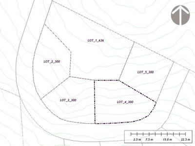 Lot 4 intravilan 330mp vârf Cocora resort montan Padina Peştera Bucegi